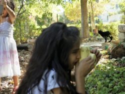 photography projects for kids
